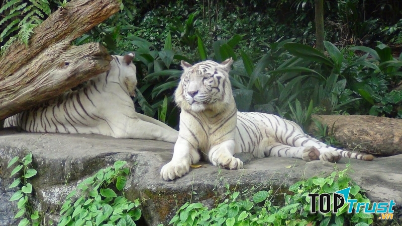 điểm đến thú vị nhất dành cho những người yêu động vật tại Việt Nam