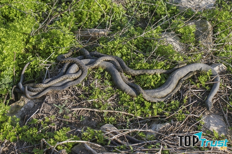 điểm đến tuyệt đẹp nhưng khó tiếp cận nhất quả đất