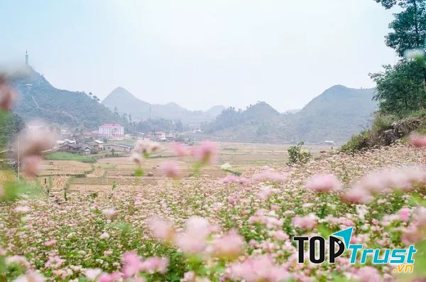 Điểm du lịch mùa thu đông ngay gần Hà Nội cho kì nghỉ cuối tuần