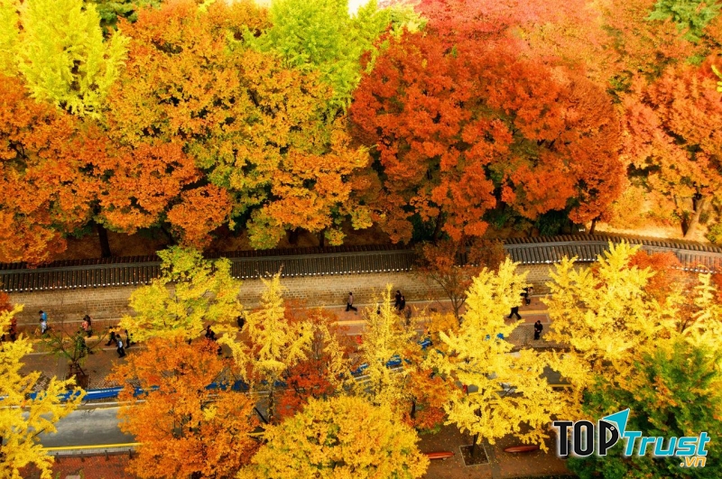 Điểm du lịch mùa thu ở Hàn Quốc