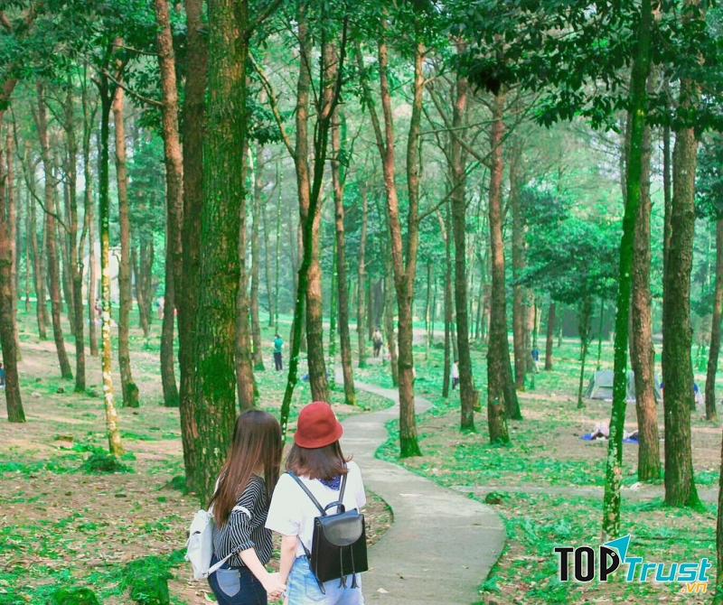 Điểm du lịch, thắng cảnh đẹp giá rẻ tại Ba Vì Hà Nội