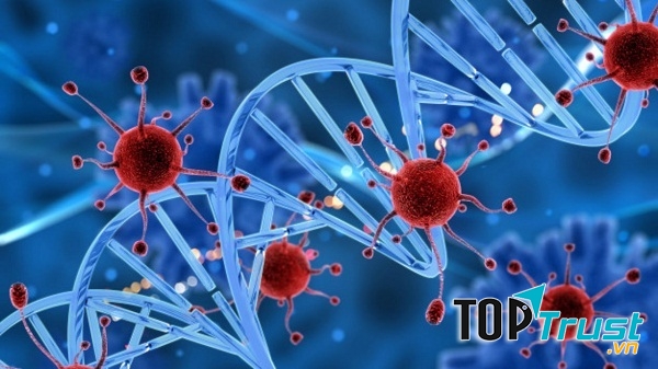 điều cần biết về bệnh ung thư máu