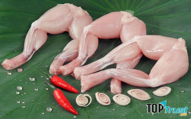 điều cần biết về món ăn được làm từ thịt Ếch