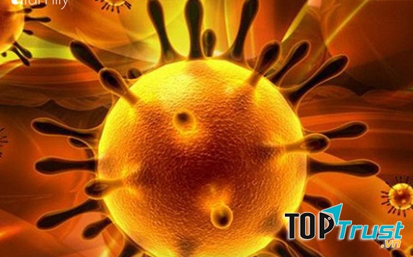 điều cần biết về virus corona gây viêm phổi cấp ở Vũ Hán