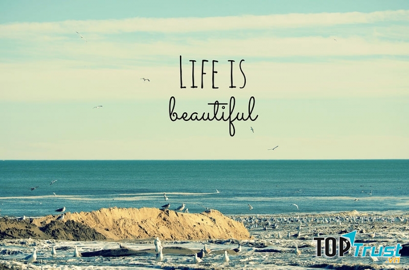 điều chúng ta cần làm ngay hôm nay để xây dựng cuộc sống tốt đẹp