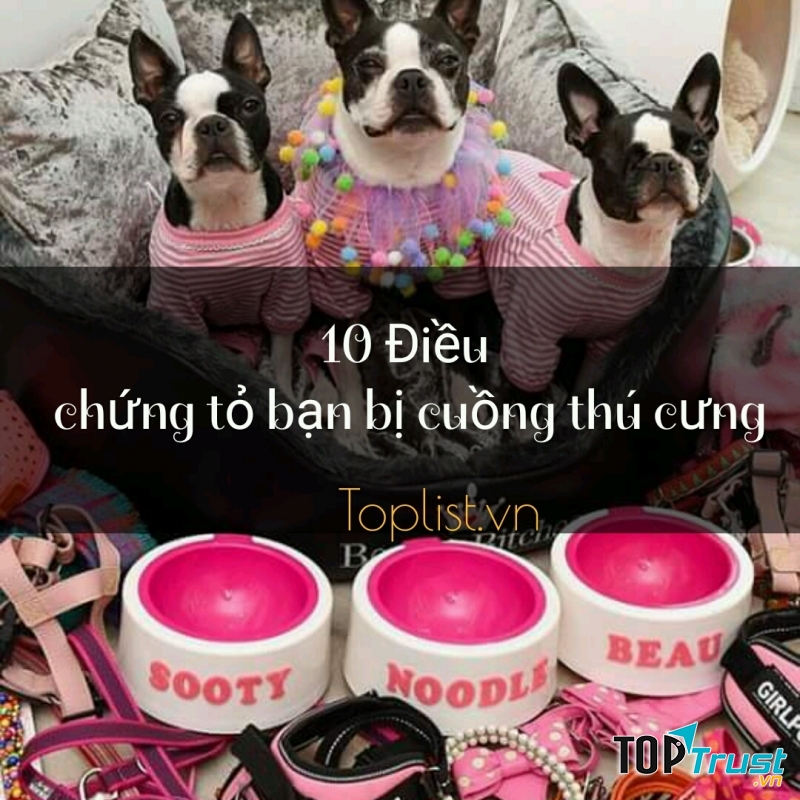 Điều chứng tỏ bạn bị cuồng thú cưng