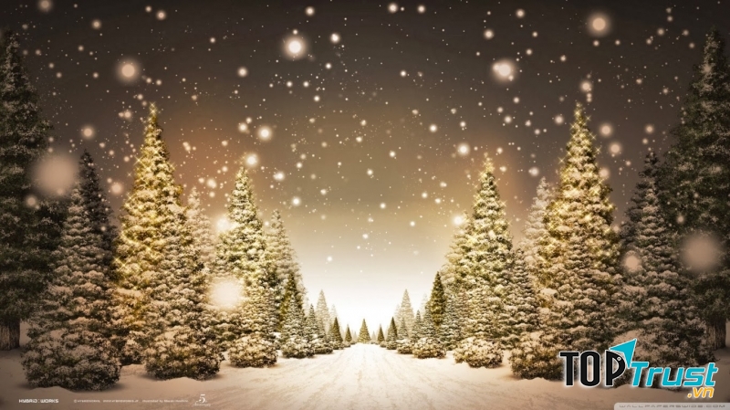 điều có thể bạn chưa biết về ngày lễ Giáng sinh