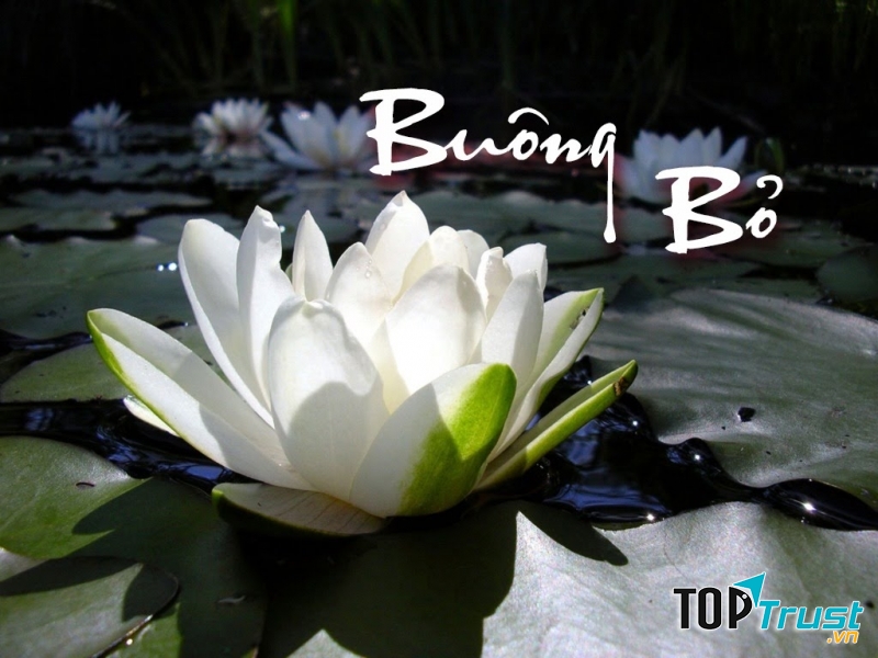 điều đáng buông bỏ nhất trong cuộc sống để an nhàn, hạnh phúc