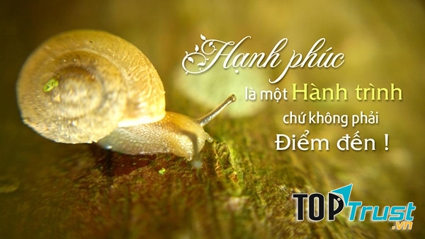 điều khiến bạn không cảm thấy hạnh phúc