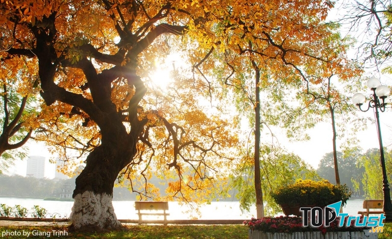 Điều sẽ khiến bạn yêu Hà Nội