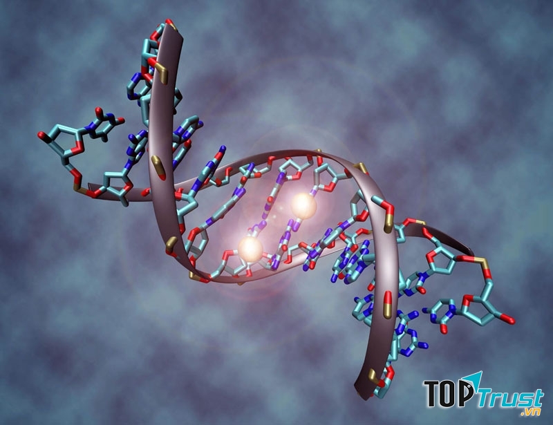 điều thú vị chúng ta thừa hưởng từ gen di truyển mà không phải ai cũng biết