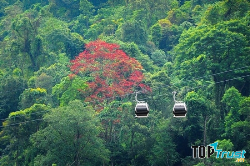 điều thú vị khi đến với Núi Chứa Chan - Đồng Nai