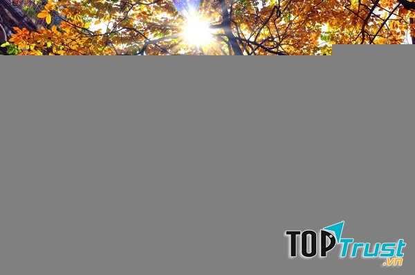 điều thú vị nhất khi mùa thu đến ở Việt Nam