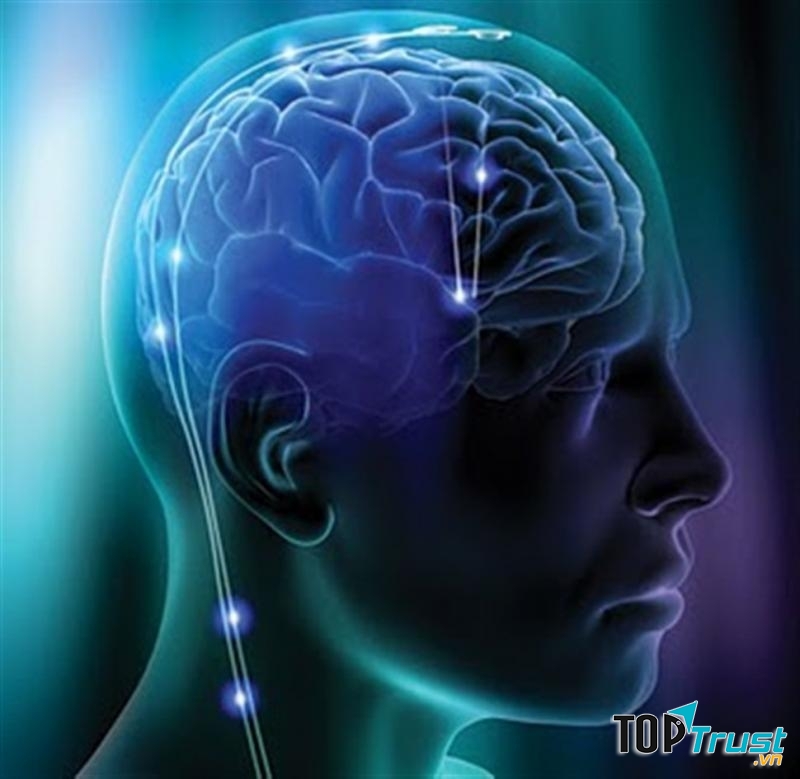 điều thú vị về bộ não có thể bạn chưa biết