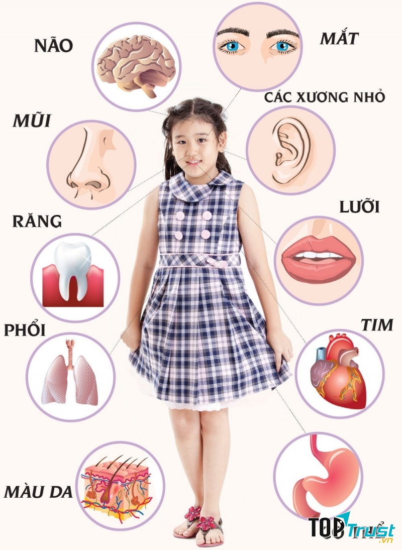 Điều thú vị về cơ thể bạn nên biết