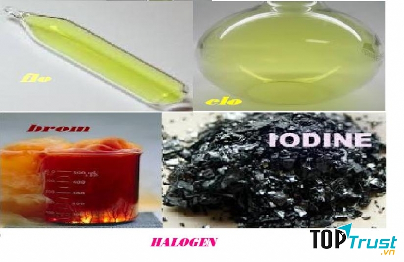 điều thú vị về nhóm Halogen trong hóa học có thể bạn muốn biết