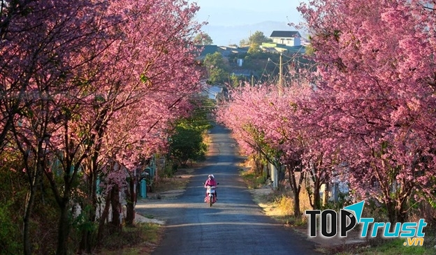 điều tuyệt vời khi đến với Đà Lạt vào các mùa trong năm