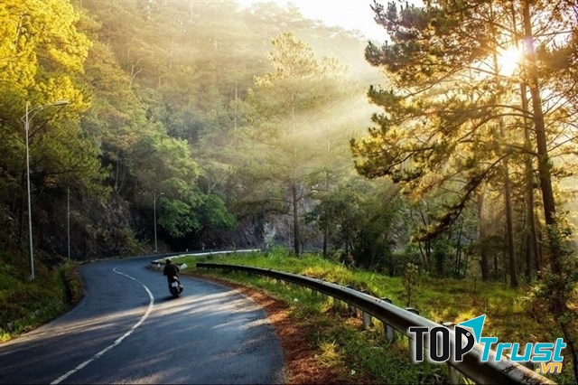 điều tuyệt vời nhất chỉ có ở Đà Lạt