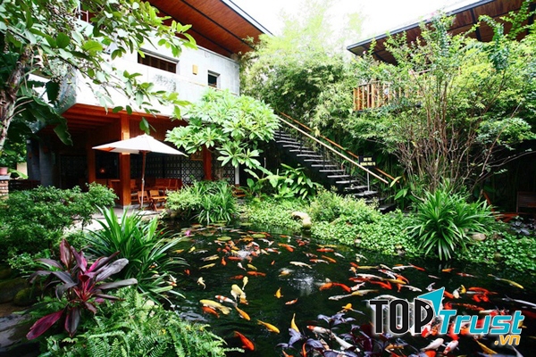đơn vị thi công hồ cá Koi đẹp, chuyên nghiệp nhất tại Đà Nẵng