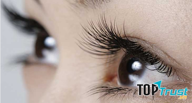 Dòng kẹp bấm mi được tin dùng nhất hiện nay