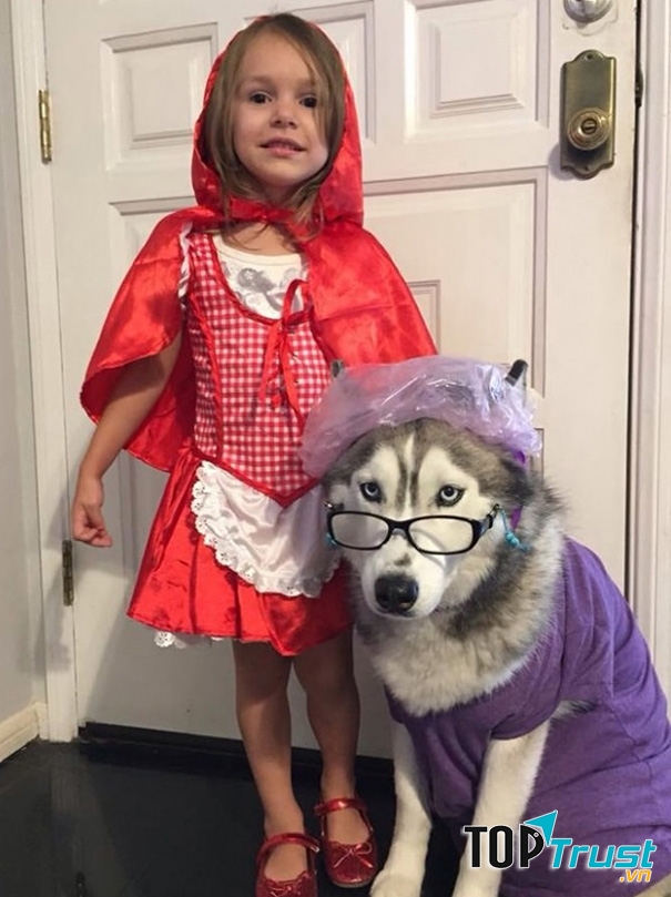 Gợi ý cho bé yêu và thú cưng nhập tiệc Halloween