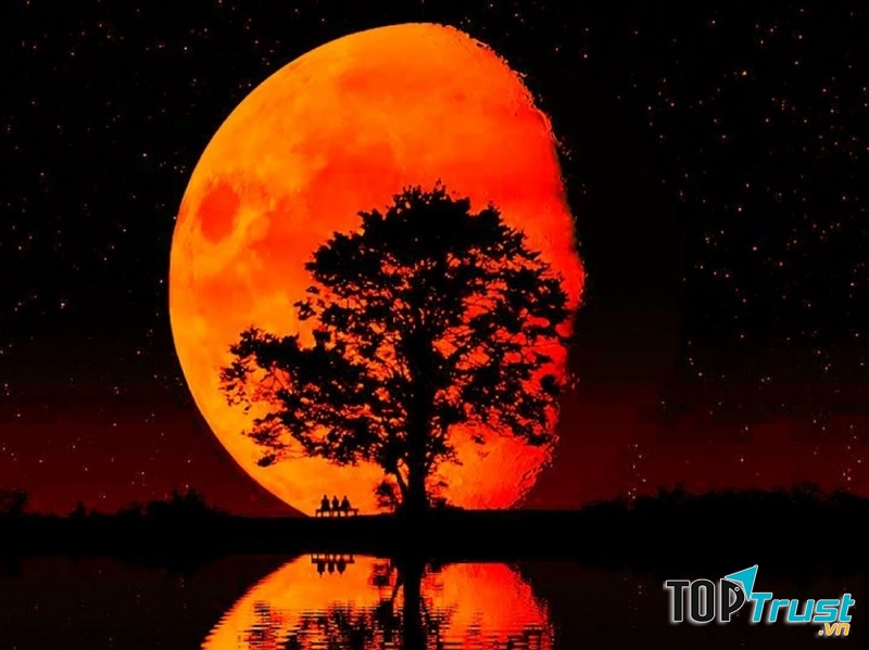 Hiện tượng báo hiệu ngày tận thế sắp đến