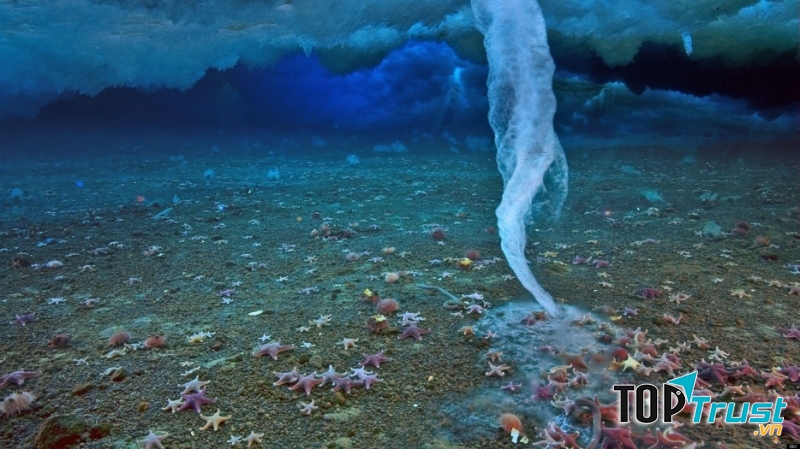 Hiện tượng kì lạ siêu độc đáo trên đại dương