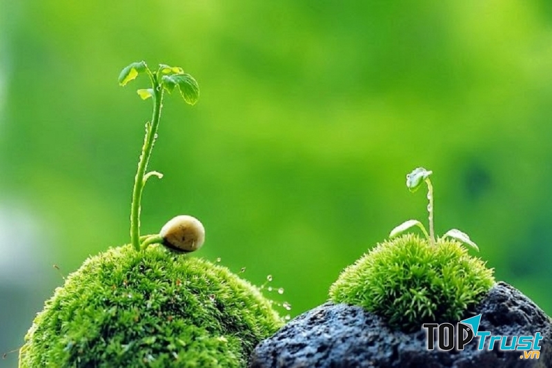 Hiện tượng thiên nhiên đáng sợ nhất trên Trái đất