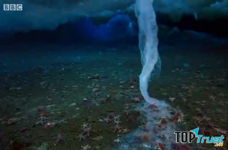 Hiện tượng thiên nhiên tuyệt đẹp và hiếm gặp