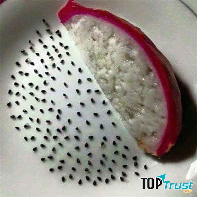 Hình ảnh hài hước trong mùa dịch Covid-19