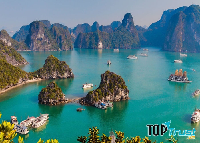 Homestay được yêu thích nhất Hạ Long