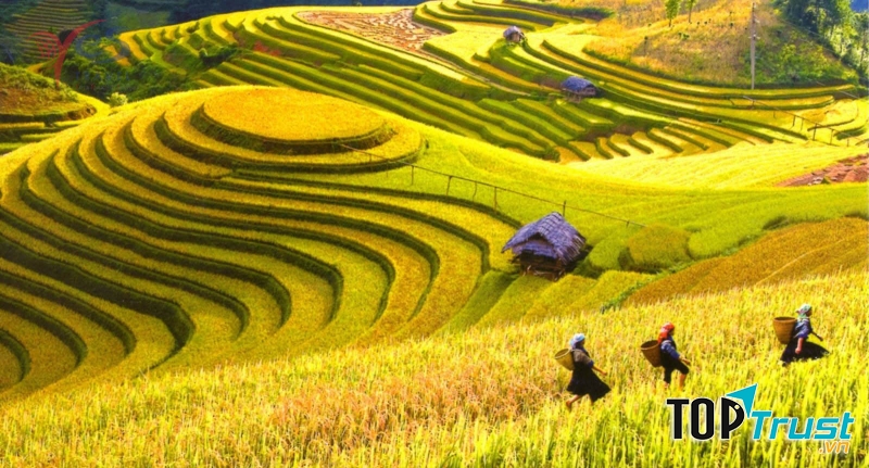 Homestay view ruộng bậc thang đẹp nhất mùa lễ hội ở Sapa