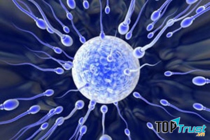 Kẻ thù nguy hiểm nhất tiêu diệt tinh trùng ở nam giới