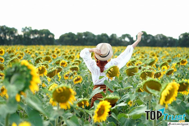 Khách sạn 4 - 5 sao sang trọng, tiện nghi nhất tại Nghệ An