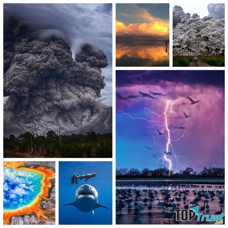 Khoảnh khắc đời thực tưởng chỉ có thể thấy trong phim