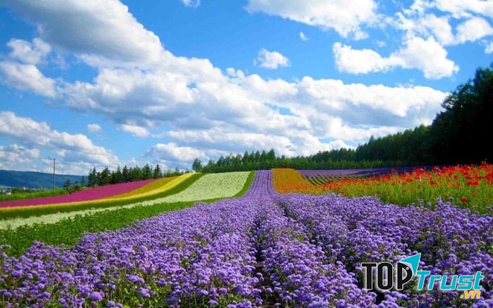 Khu du lịch nổi tiếng nhất Đà Lạt