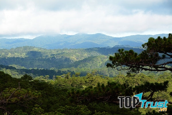 Khu dự trữ sinh quyển thế giới tại Việt Nam