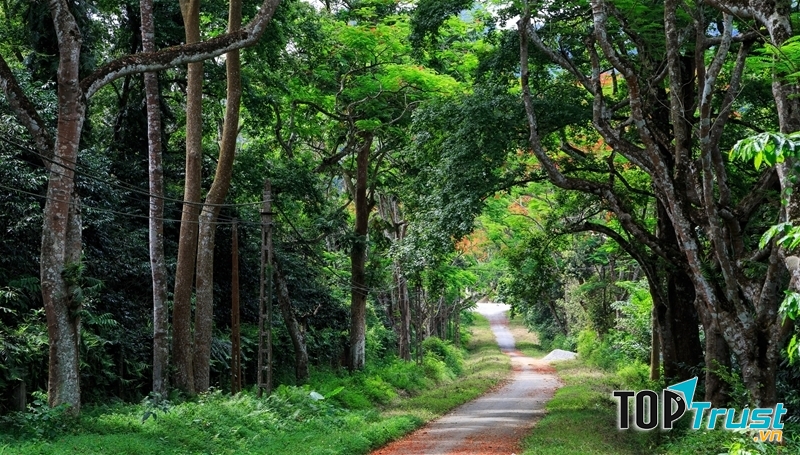 Khu rừng nguyên sinh đẹp nhất Việt Nam