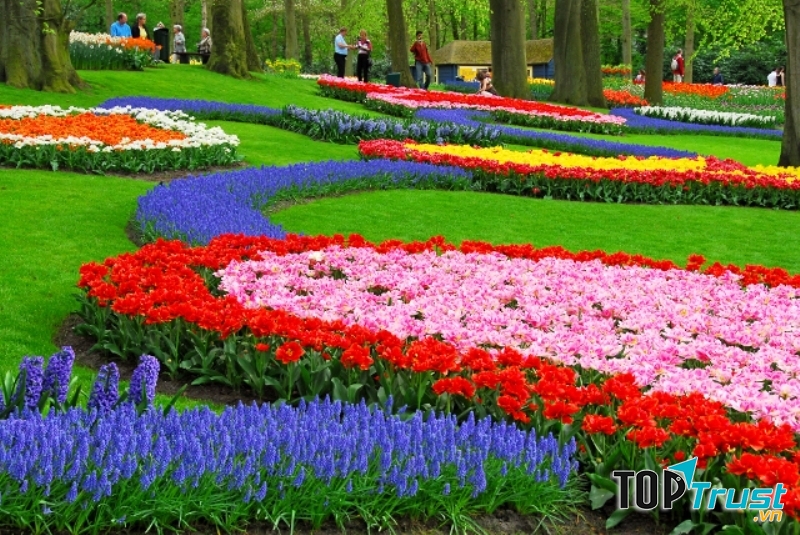 Khu vườn đẹp như truyện thần tiên