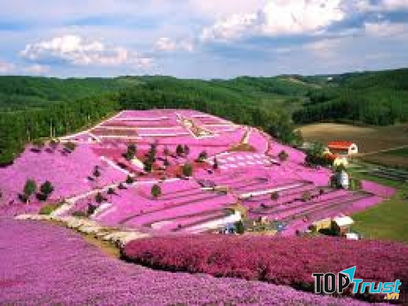 Kinh nghiệm để có một chuyến đi du lịch Đà Lạt hoàn hảo và tiết kiệm