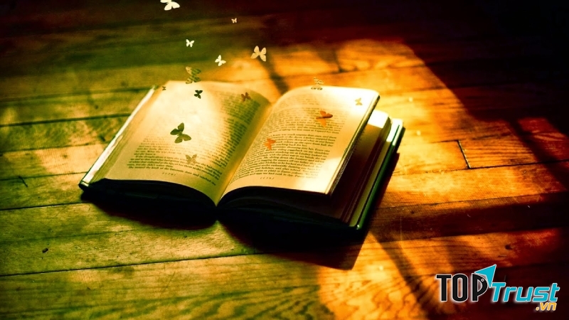 Kinh nghiệm để mở cửa hàng bán sách cũ kinh doanh tốt nhất