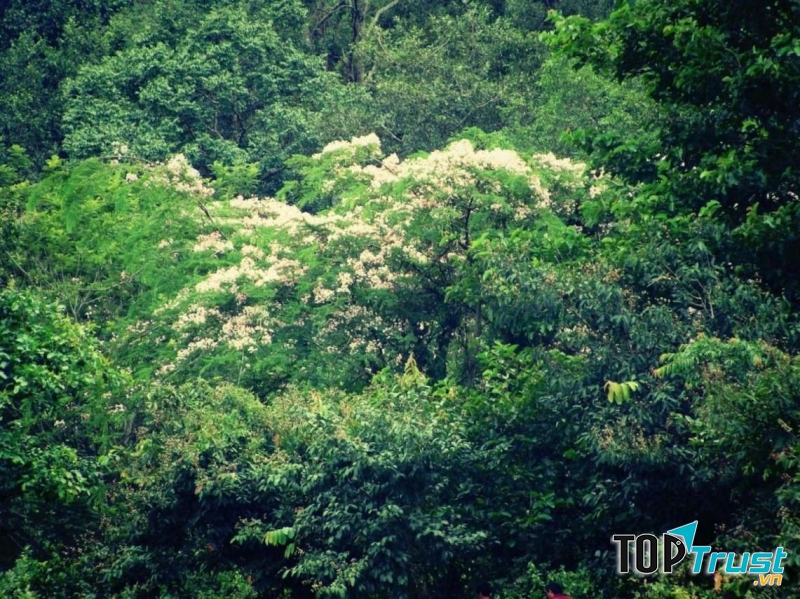 Kinh nghiệm du lịch phượt Thác Mai