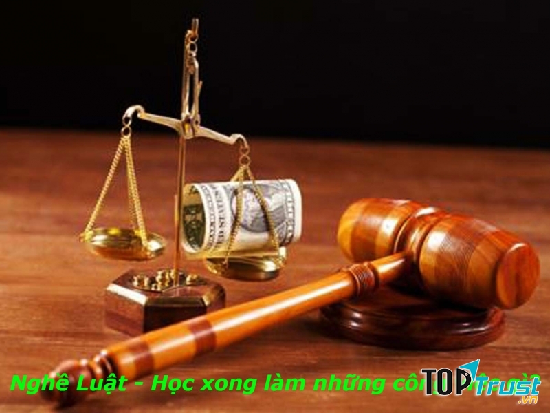 Kinh nghiệm hữu ích nhất dành cho sinh viên ngành luật khi đi thực tập