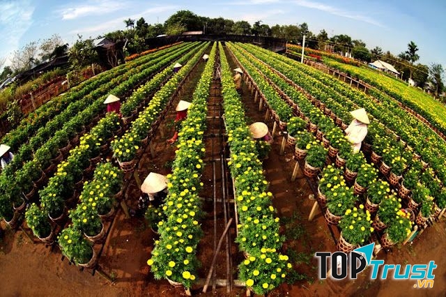 Kinh nghiệm khi du lịch Làng Hoa Sa Đéc