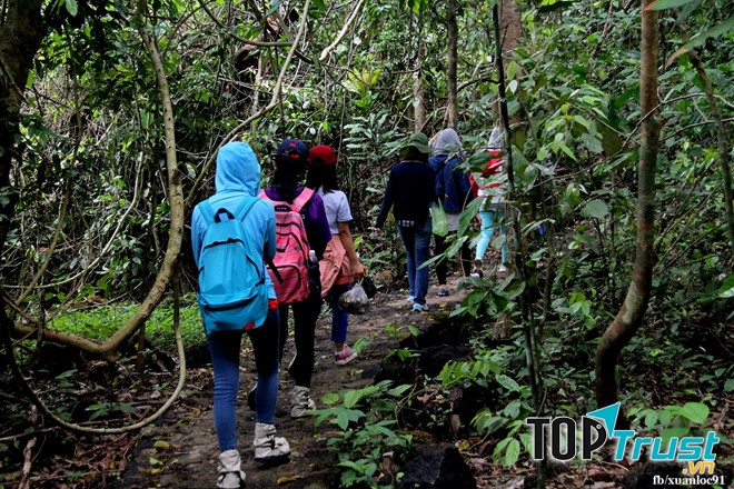 Kinh nghiệm phượt Vườn Quốc gia Nam Cát Tiên chi tiết nhất