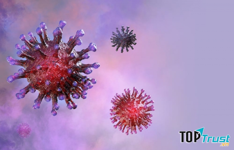 Lầm tưởng tai hại về Virus Corona mới