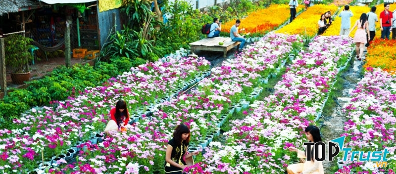 Làng hoa kiểng đẹp nhất Miền Tây