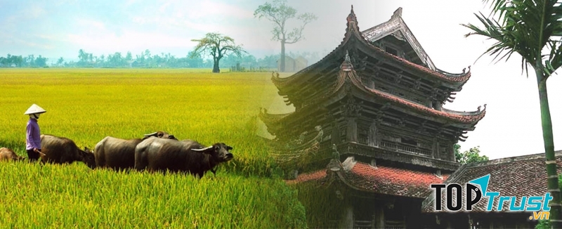 Làng nghề ở Thái Bình