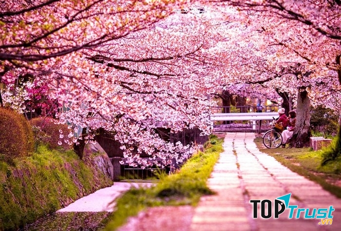 Lễ hội hoa rực rỡ nhất thế giới khiến bạn phải mê mẩn