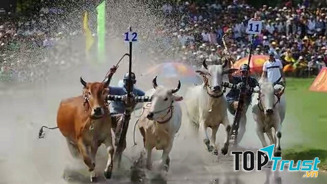 Lễ hội văn hóa truyền thống ở miền Tây Nam Bộ